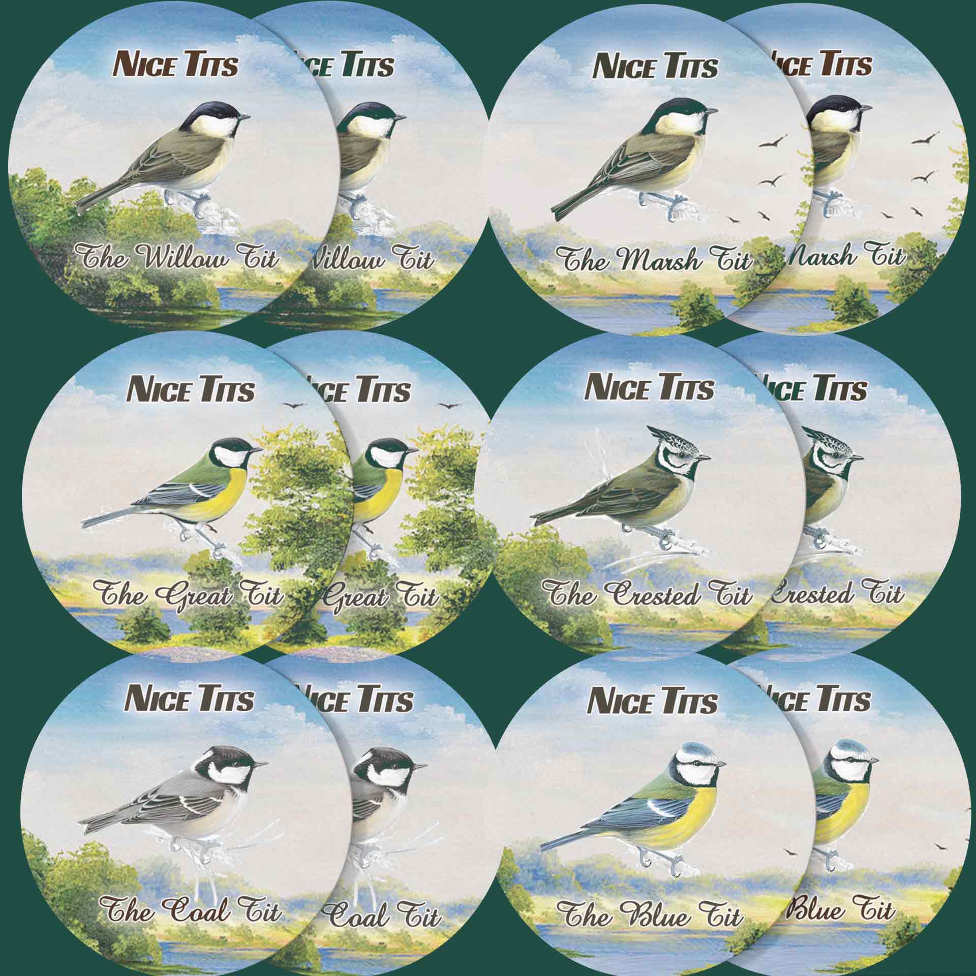 a set of six plates with birds on them