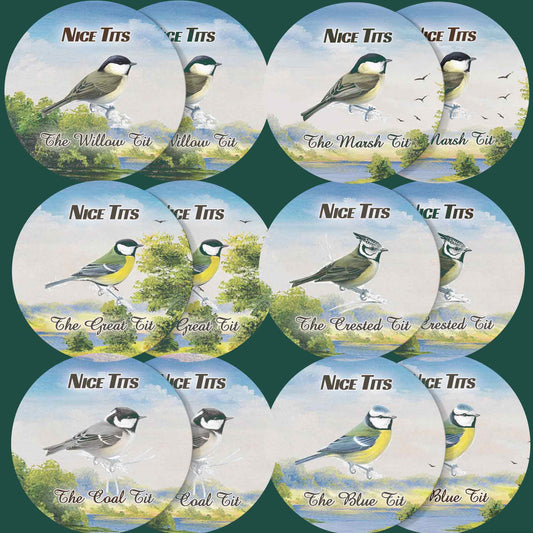 a set of six plates with birds on them