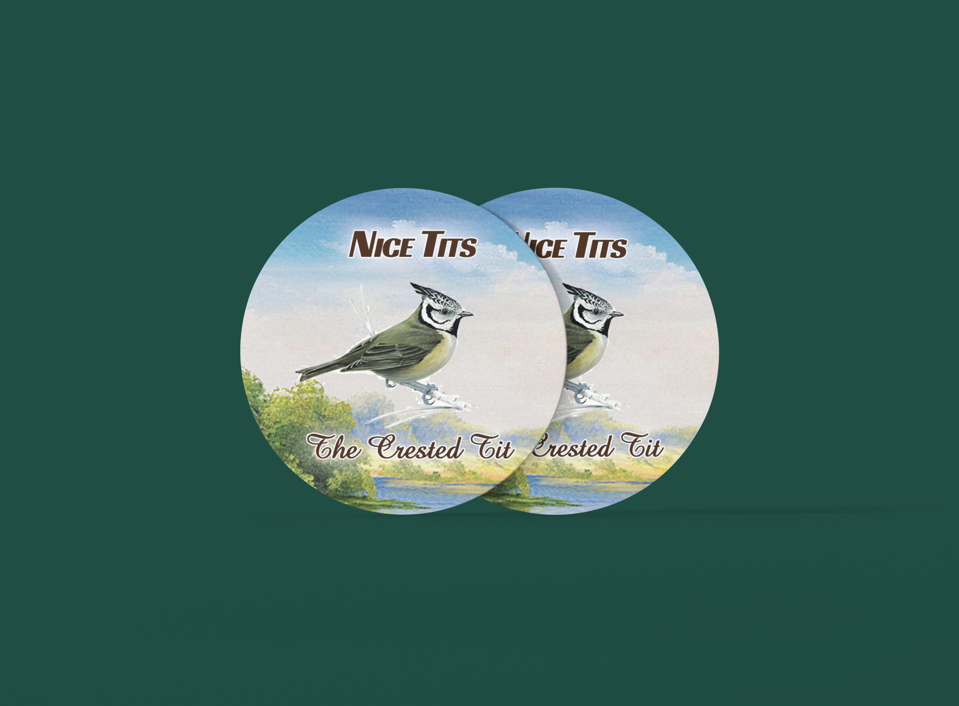  I like tits  Funny Gift for Bird watching
