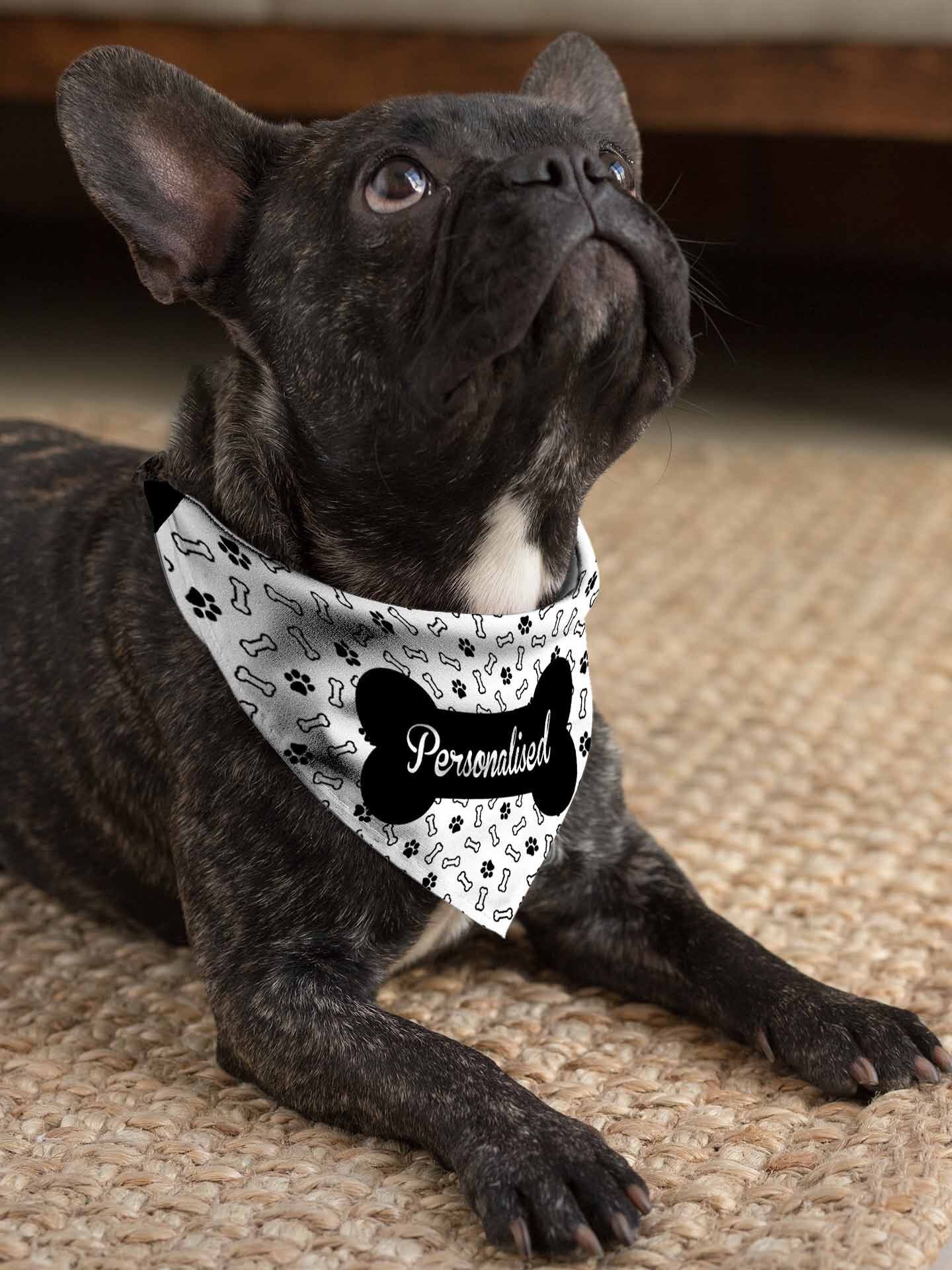 Dog deals bone bandana