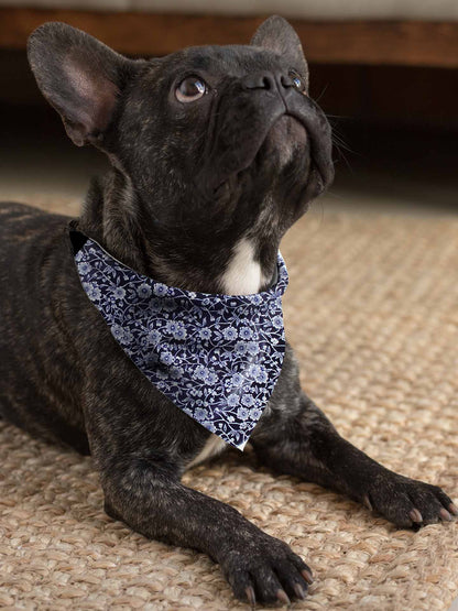 Wetherspoons-style pattern dog bandana + Collar